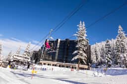 Everline Resort- Forest View