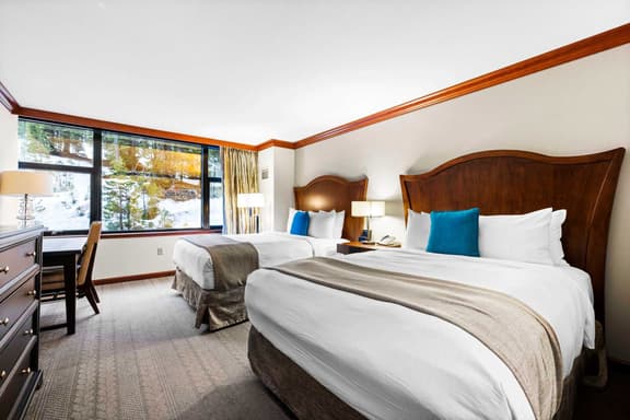 Deluxe Forest View Studio-No Resort Fees for July