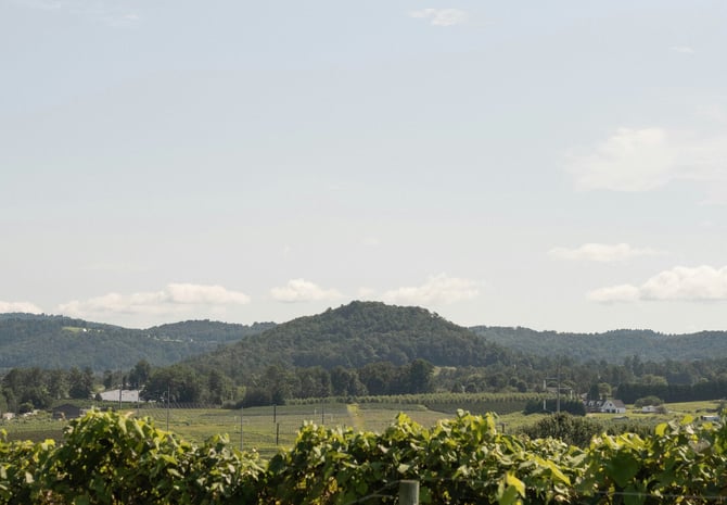 What to Ask When Hiring a Vacation Rental Management Company in Northern CA