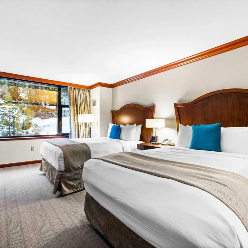 Deluxe Forest View Studio-No Resort Fees for July
